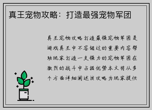 真王宠物攻略：打造最强宠物军团