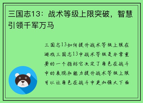 三国志13：战术等级上限突破，智慧引领千军万马